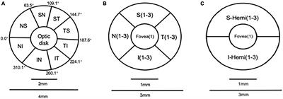 The correlation of retinal neurodegeneration and brain degeneration in patients with Alzheimer’s disease using optical coherence tomography angiography and MRI